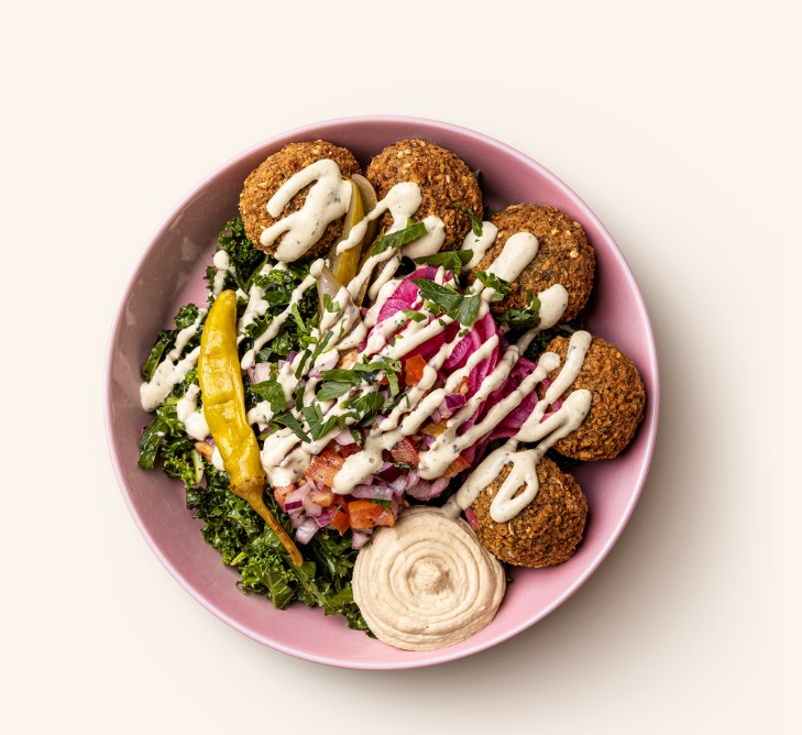 Falafel Plate